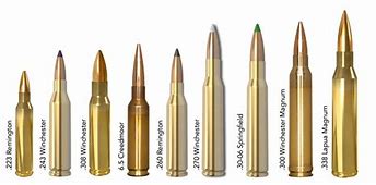 Image result for 10 Most Popular Rifle Calibers