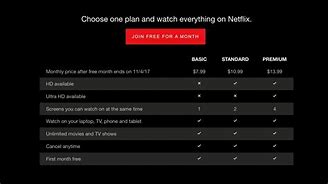 Image result for Netflix Subscription Options