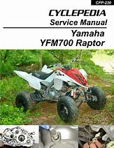 Image result for Raptor 300 Manual PDF
