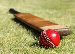 Image result for Backyard Cricket