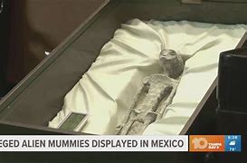 Image result for Minerals Make Mummies Mexico