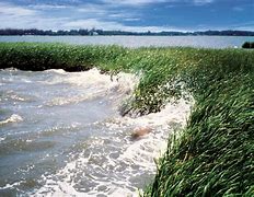 Image result for Protect Coastal Communities