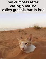 Image result for Cat Crunch Meme