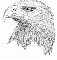 Image result for Single Line Eagle Drawing