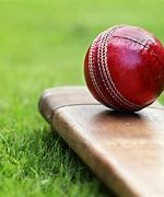 Image result for Cricket Lover Profile Photo