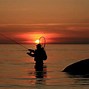 Image result for Best Online Fly Fishing Store