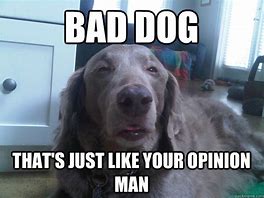 Image result for bad dogs memes generator