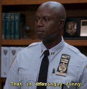Image result for Brooklyn 99 Prision GIF