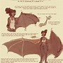 Image result for Anime Bat Wings Sketch