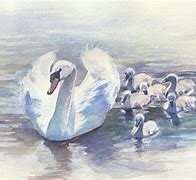 Image result for Watercolor Paintings of Swans