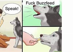 Image result for wikiHow Dog Meme