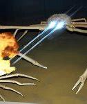 Image result for Crab Laser Eyes Meme