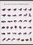 Image result for BJJ All Positions