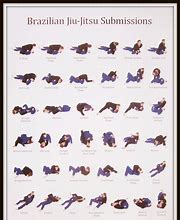 Image result for Basic Jiu Jitsu Moves