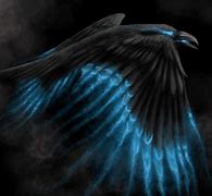Image result for Dark Raven Spirit