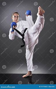 Image result for Beautiful Karate Kick