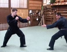 Image result for Martial Arts Drawing