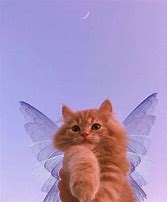 Image result for Cute Fairy Cats