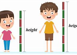 Image result for Length and Height of Something Standing