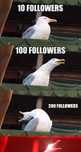 Image result for Funny Followers Memes