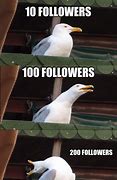 Image result for 100 Followers Memes