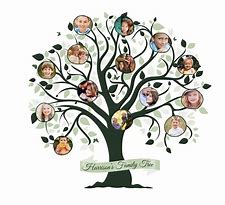 Image result for Custom Family Tree Poster