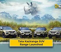 Image result for Tata Punch Green