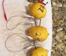 Image result for Lemon Battery Step by Step