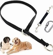 Image result for Carabiner Clip with Safety Back Up