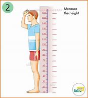 Image result for 8 Meters Tall