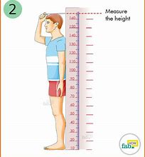 Image result for How Tall Is 38 Meters