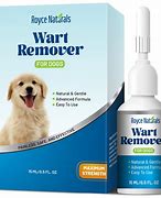 Image result for Dog Papilloma Treatment