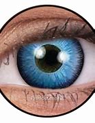 Image result for Dark Blue Contact Lenses