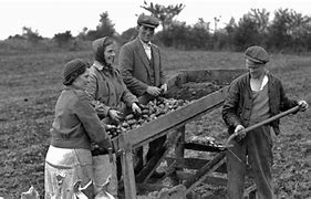 Image result for Irish Potato Famine Immigration