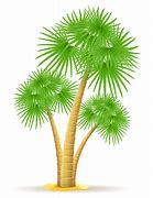 Image result for Palm Tree Illustration Top View