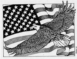 Image result for Eagle and Flag Drawing