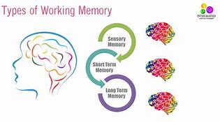 Image result for Organising Memory Technique