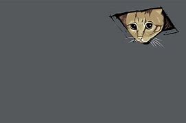 Image result for Funny Cat Memes 4K