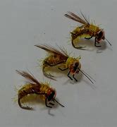 Image result for Hand Smshing Fly