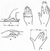 Image result for Things You Can Measure with Your Hand