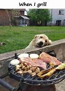 Image result for Samsung Grill Meme