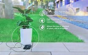 Image result for Plant Charge Cell Phone