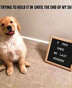 Image result for Cute Puppy Dog Memes