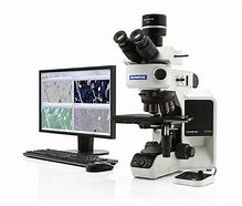 Image result for Real Microscope