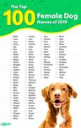 Image result for Cool Dog Names