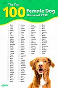 Image result for Cool Dog Names