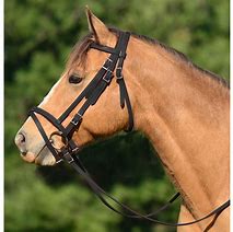 Image result for Horse Bridle No Bit