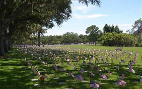 Image result for Bay Pines National Cemetery