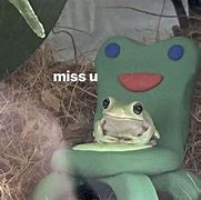 Image result for Baby Frog Meme