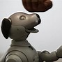 Image result for Aibo Robot Cat